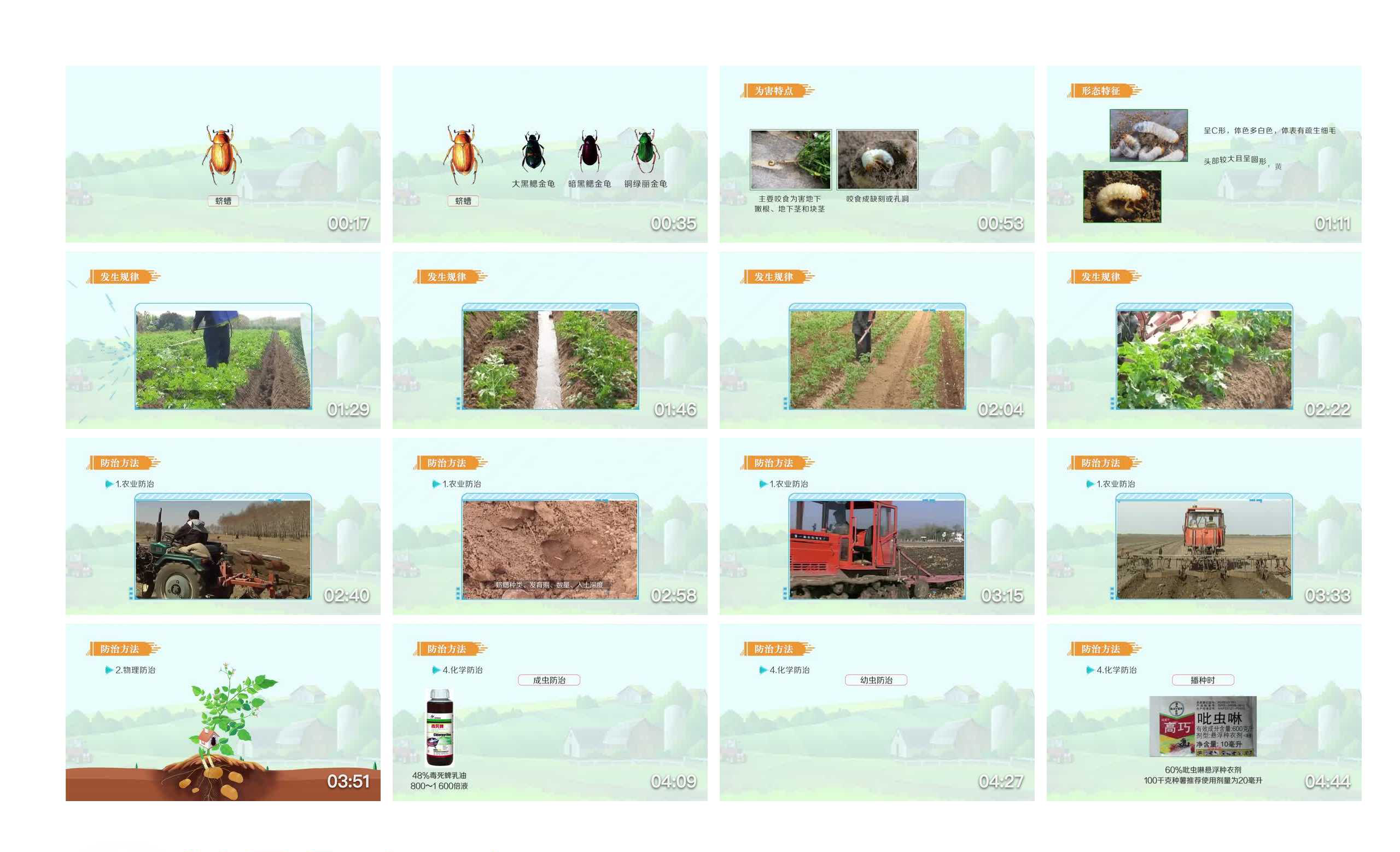 PPT动画-马铃薯系列蛴螬课程样片参考-中国农业出版社