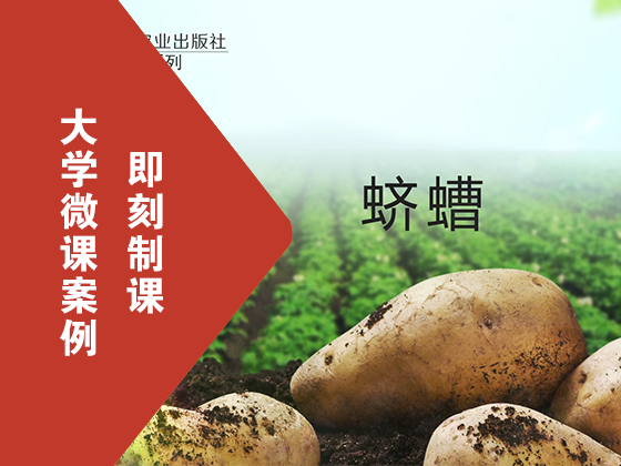 《马铃薯系列》-蛴螬-中国农业出版社